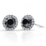 2 Carat Black Diamond Stud Earrings with Halo